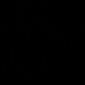 Meet your Posher, Kara